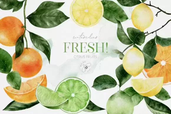 16 种手绘水彩柠檬橙子水果和叶子集合PNG免抠图插图1