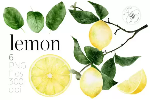 16 种手绘水彩柠檬橙子水果和叶子集合PNG免抠图插图4