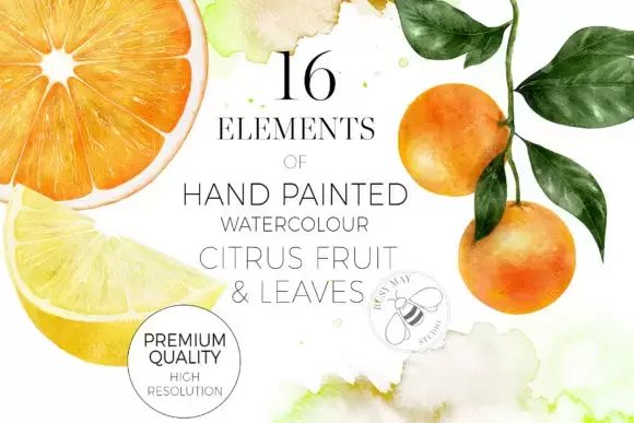 16 种手绘水彩柠檬橙子水果和叶子集合PNG免抠图插图2