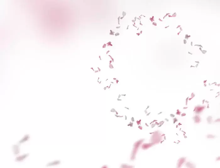 50款梦幻虚化柔光粉色花朵花瓣PNG免抠图插图14