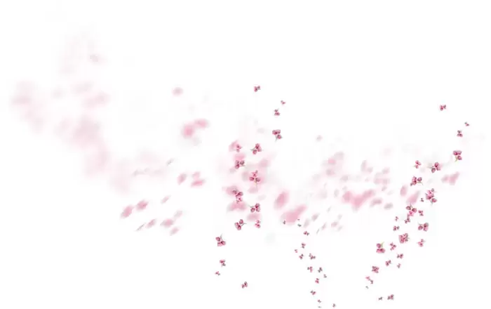 50款梦幻虚化柔光粉色花朵花瓣PNG免抠图插图7