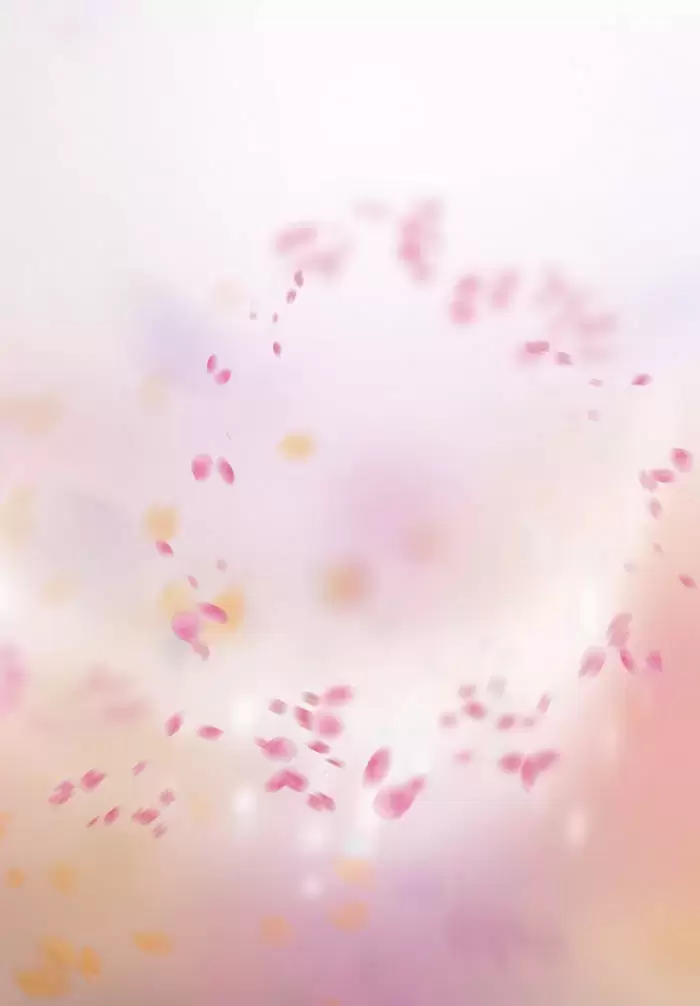 50款梦幻虚化柔光粉色花朵花瓣PNG免抠图插图17
