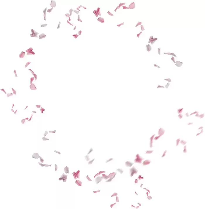 50款梦幻虚化柔光粉色花朵花瓣PNG免抠图插图2