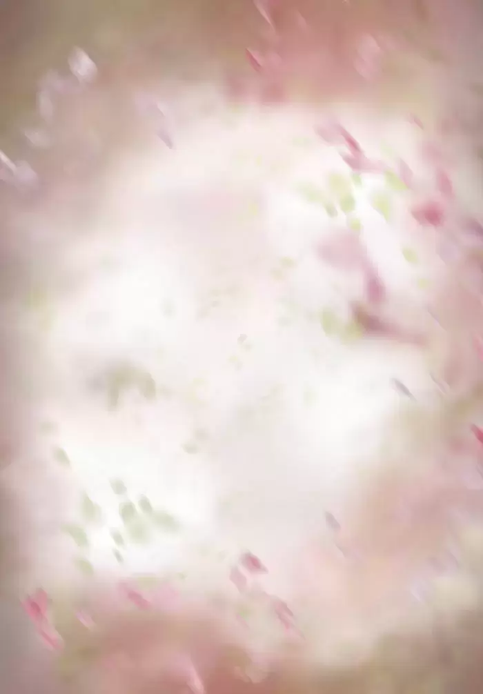 50款梦幻虚化柔光粉色花朵花瓣PNG免抠图插图12