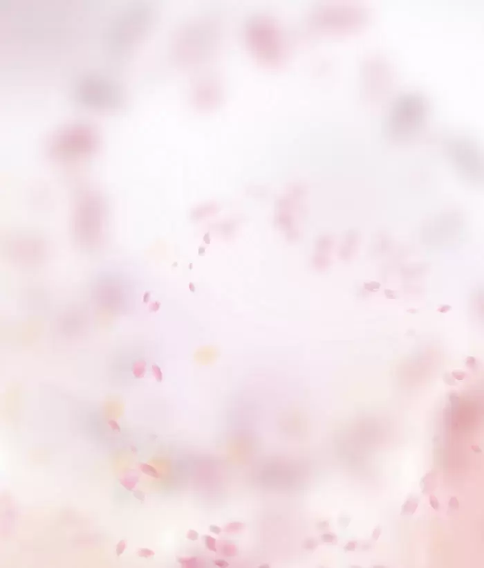 50款梦幻虚化柔光粉色花朵花瓣PNG免抠图插图19