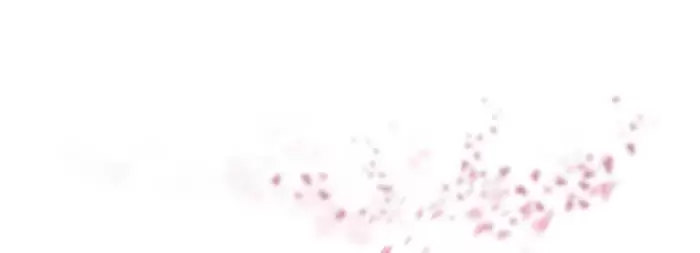 50款梦幻虚化柔光粉色花朵花瓣PNG免抠图插图11