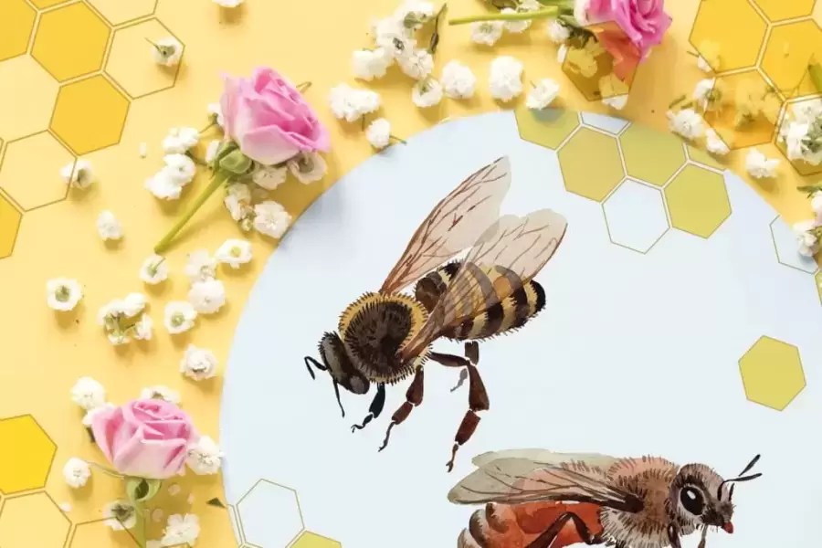 49个蜜蜂PNG免抠图和蜜蜂水彩JPG高清白底图插图7