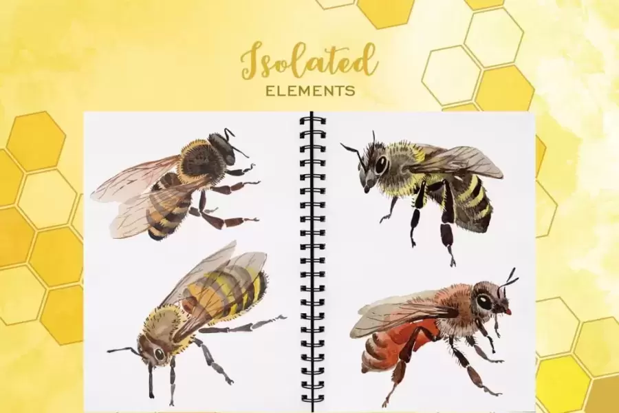 49个蜜蜂PNG免抠图和蜜蜂水彩JPG高清白底图插图5