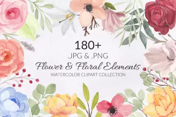 188款手绘水彩花卉花朵花环和叶子png免抠图插图1