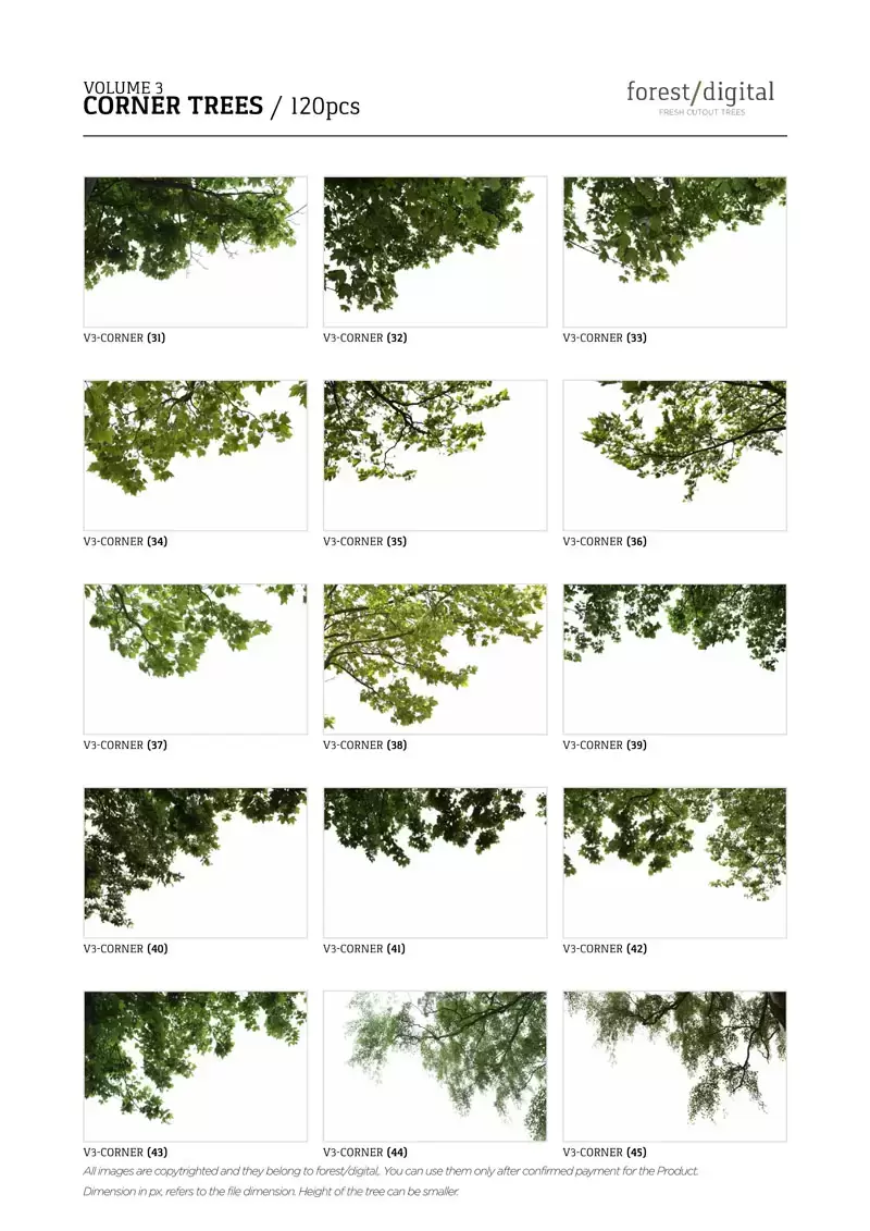 120款春季夏季针叶树角树JPG/PNG免抠图插图6