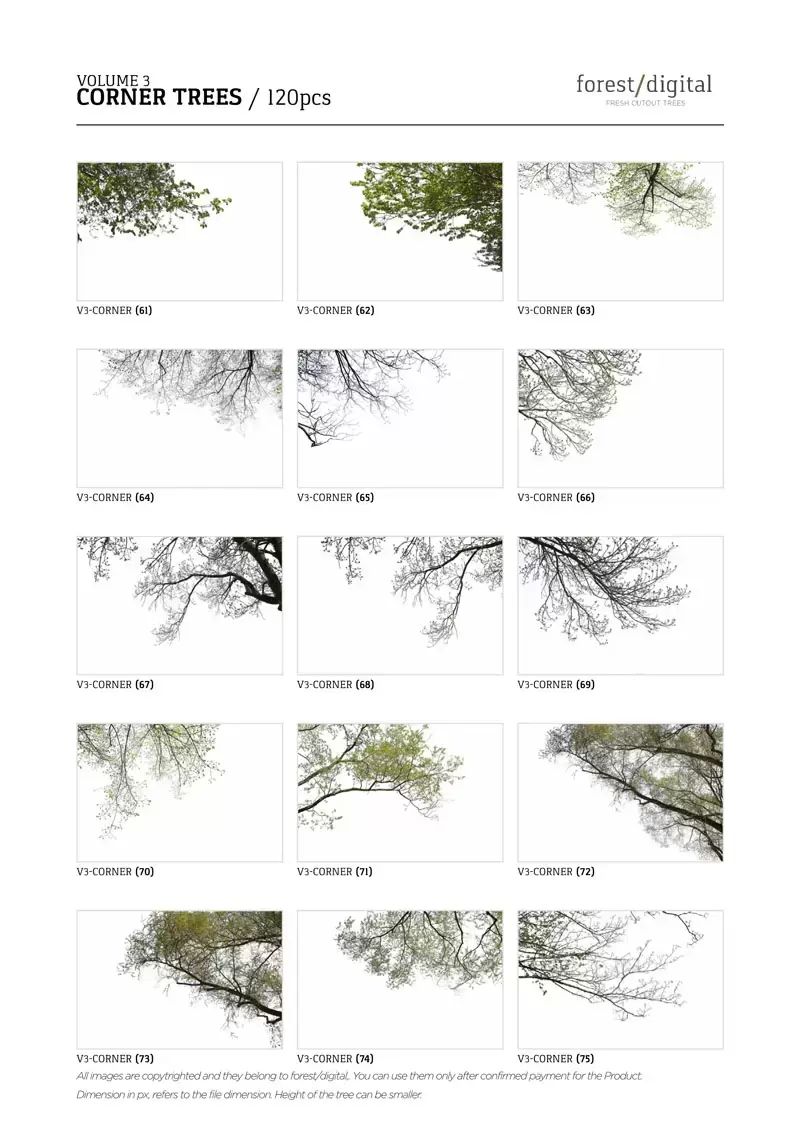 120款春季夏季针叶树角树JPG/PNG免抠图插图8
