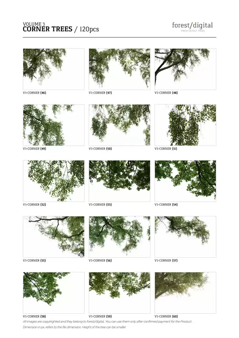 120款春季夏季针叶树角树JPG/PNG免抠图插图7