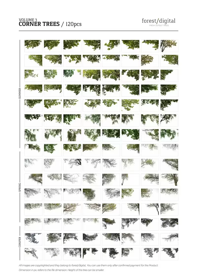 120款春季夏季针叶树角树JPG/PNG免抠图插图3