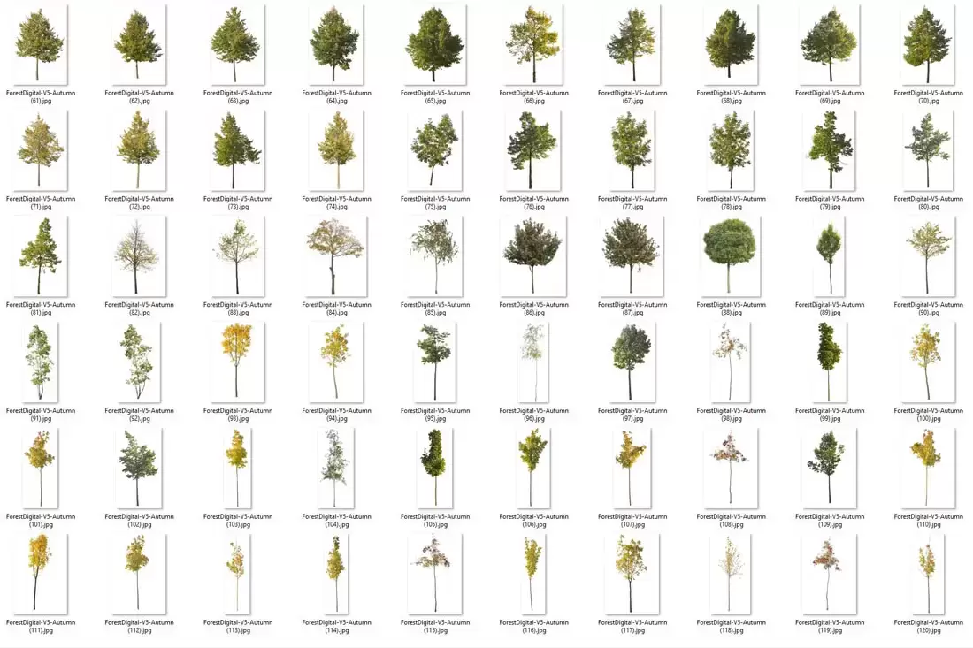 120款秋季不同形状大小品种的树木PNG免抠图插图2