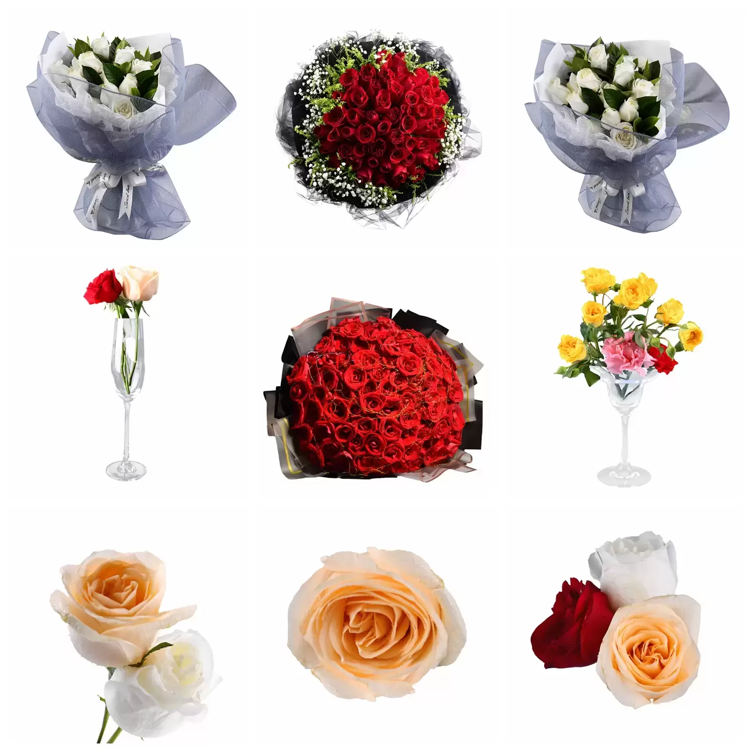 17款玫瑰花朵和玫瑰花束PNG免抠图插图1