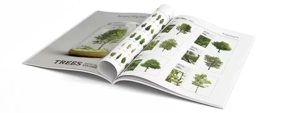 120款夏季茂盛的树PNG免抠图插图3