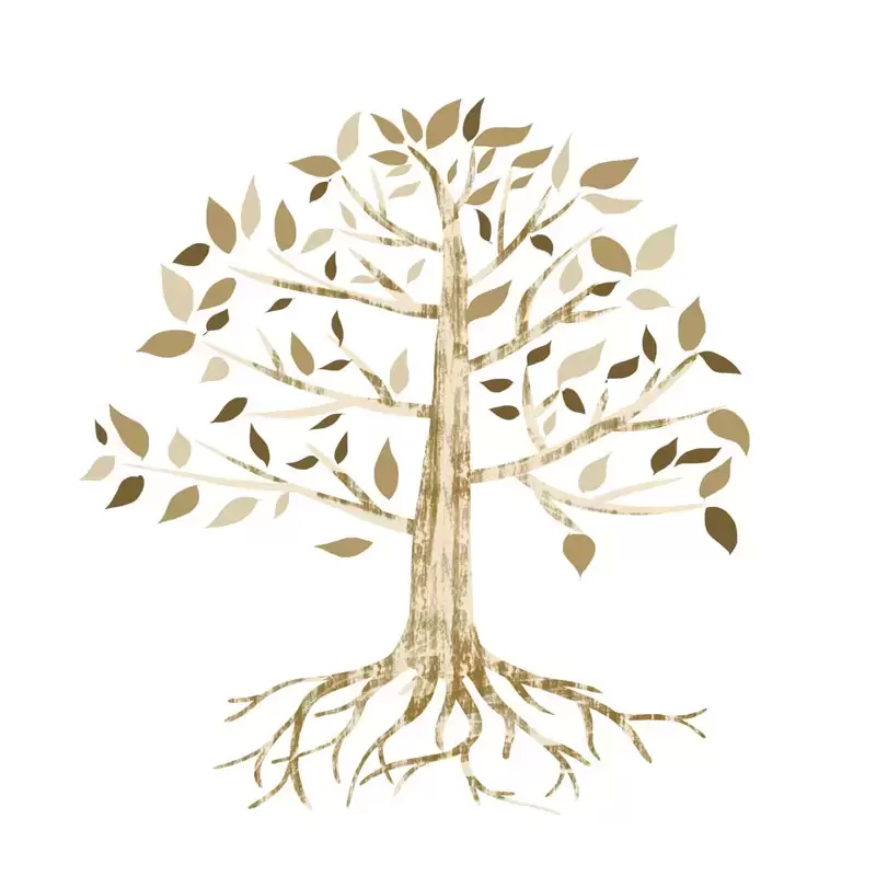 6款带有树根的抽象大树PNG免抠图插图3