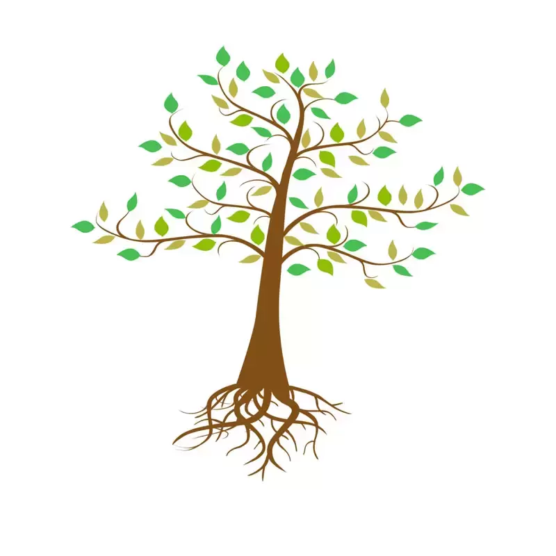 6款带有树根的抽象大树PNG免抠图插图2