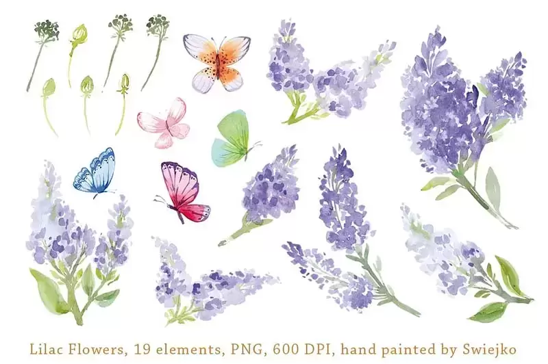 19款水彩手绘丁香花和蝴蝶PNG免抠图插图2