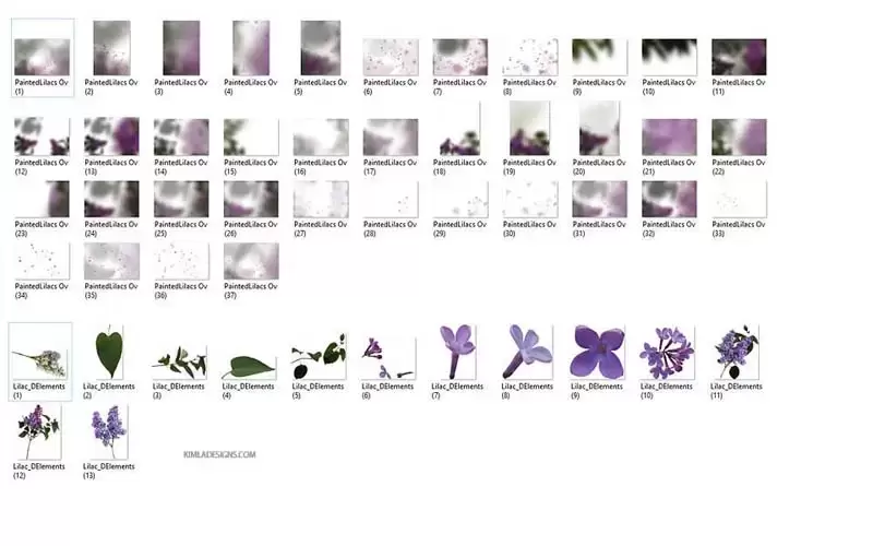 照片覆盖素材，丁香花花卉PNG免抠图插图5