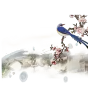 中国风工笔画牡丹梅花鹿仙鹤花卉PNG免抠高清平面设计ps图片素材插图49