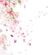 古风复古手绘水彩花卉小清新建筑美化装饰PNG图片素材插图79