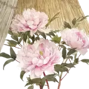 古风复古手绘水彩花卉小清新建筑美化装饰PNG图片素材插图152