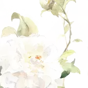 古风复古手绘水彩花卉小清新建筑美化装饰PNG图片素材插图162