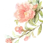 古风复古手绘水彩花卉小清新建筑美化装饰PNG图片素材插图102