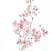 古风复古手绘水彩花卉小清新建筑美化装饰PNG图片素材插图129