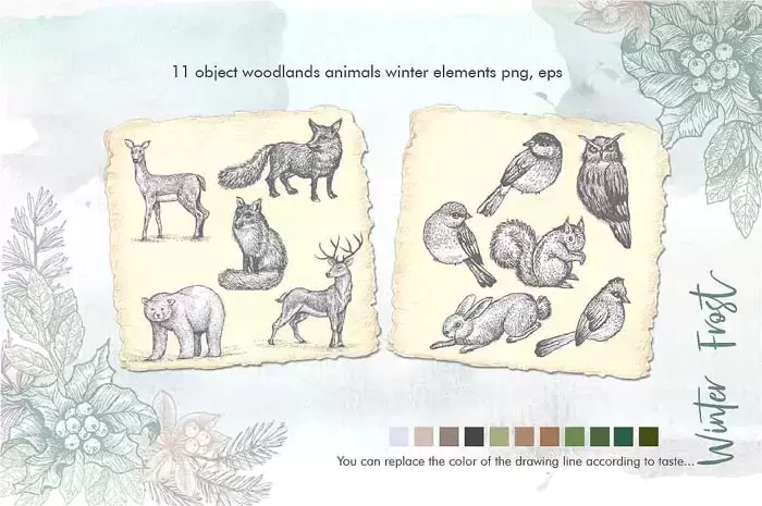 24个冬季林地和动物PNG免抠图插图3