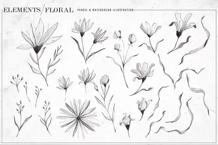 黑色和白色水彩花卉PNG免抠图插图4