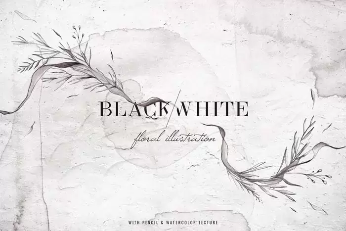 黑色和白色水彩花卉PNG免抠图插图1