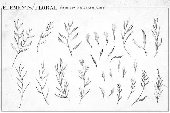 黑色和白色水彩花卉PNG免抠图插图3