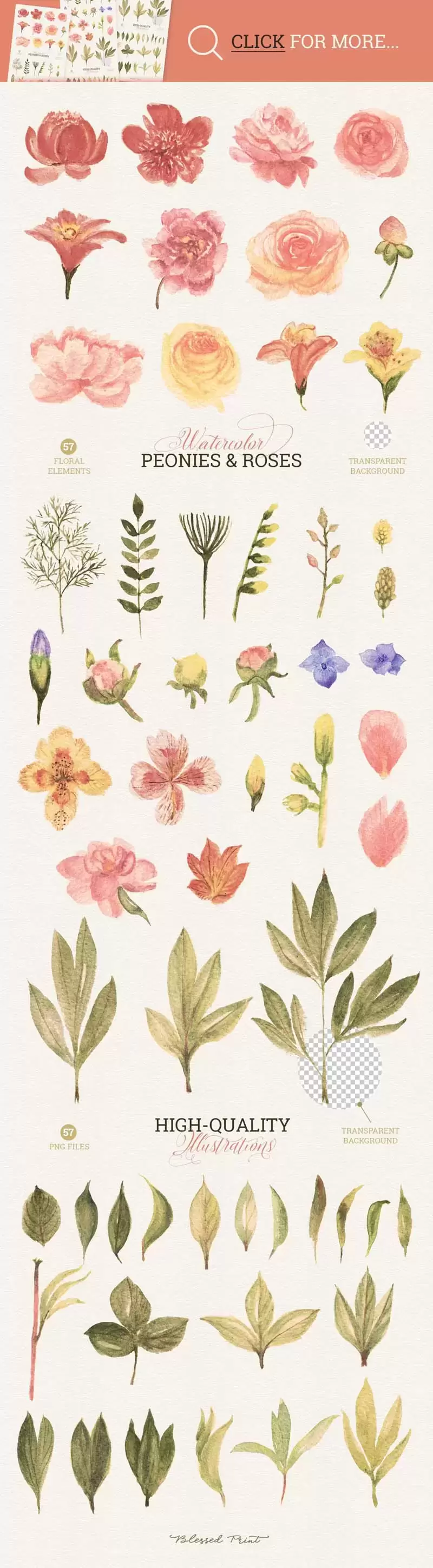 57个手绘水彩花卉和叶子PNG免抠图素材插图2