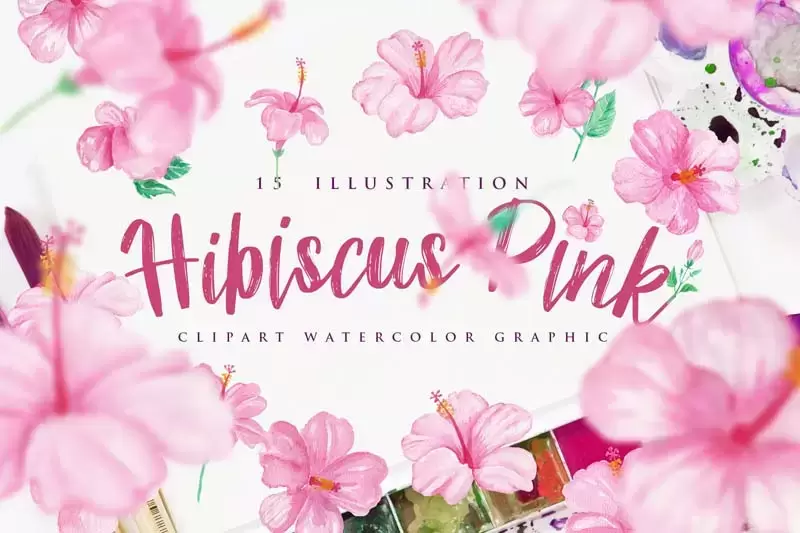 粉红色手绘芙蓉花卉水彩PNG免抠图插图1