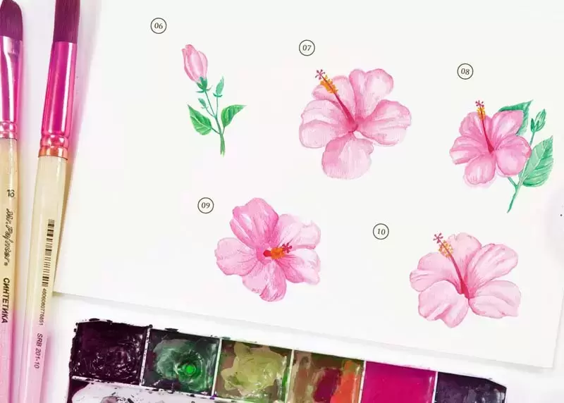 粉红色手绘芙蓉花卉水彩PNG免抠图插图3