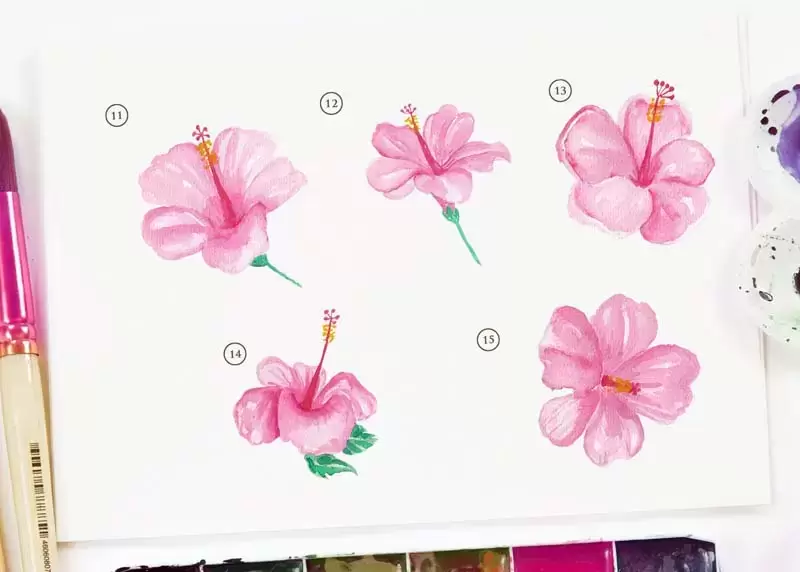粉红色手绘芙蓉花卉水彩PNG免抠图插图4