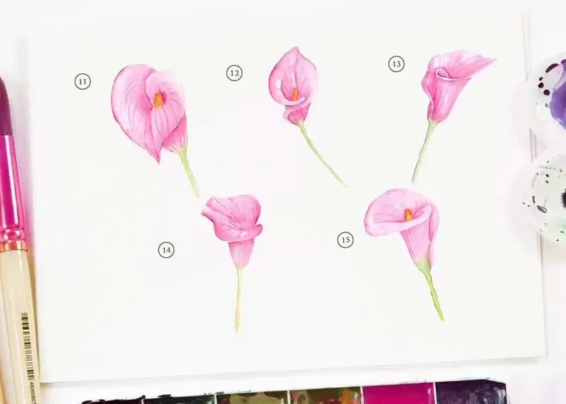 粉色手绘水彩花卉PNG免抠图插图4