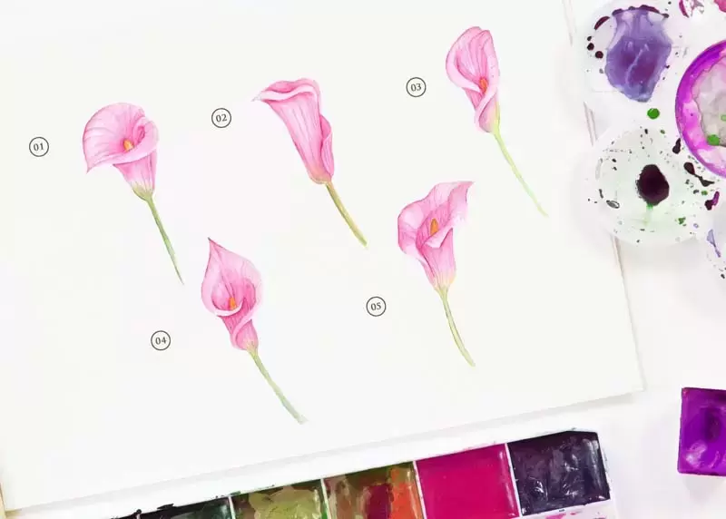 粉色手绘水彩花卉PNG免抠图插图2