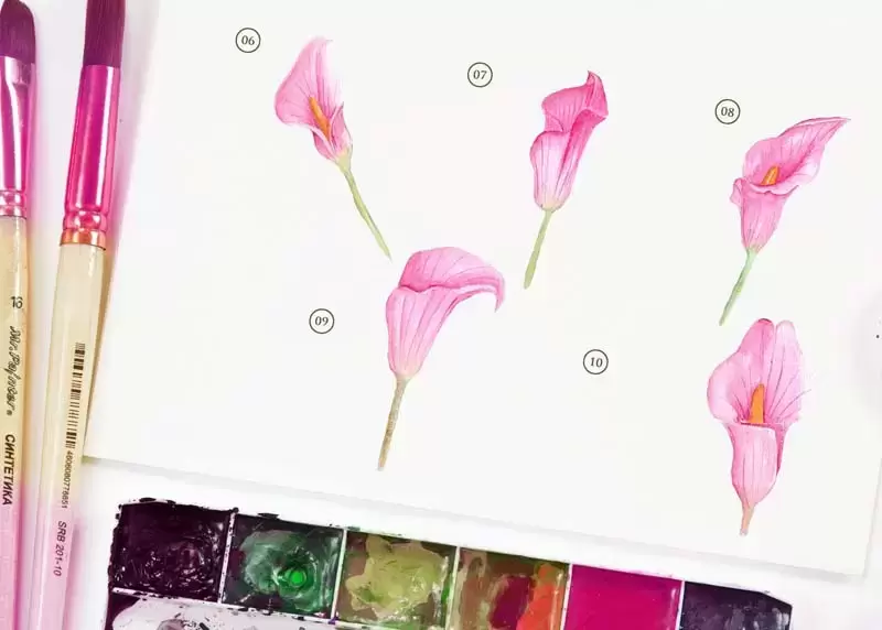 粉色手绘水彩花卉PNG免抠图插图3