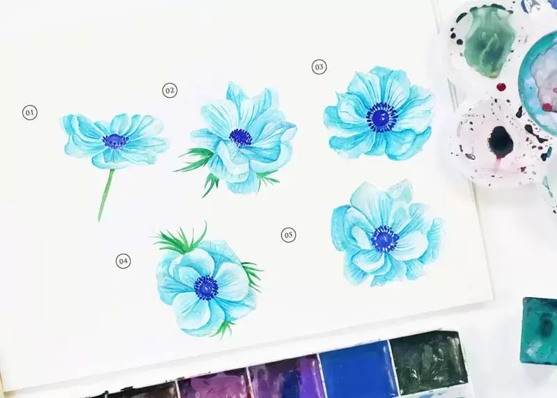 海葵蓝花手绘水彩PNG花卉插图2