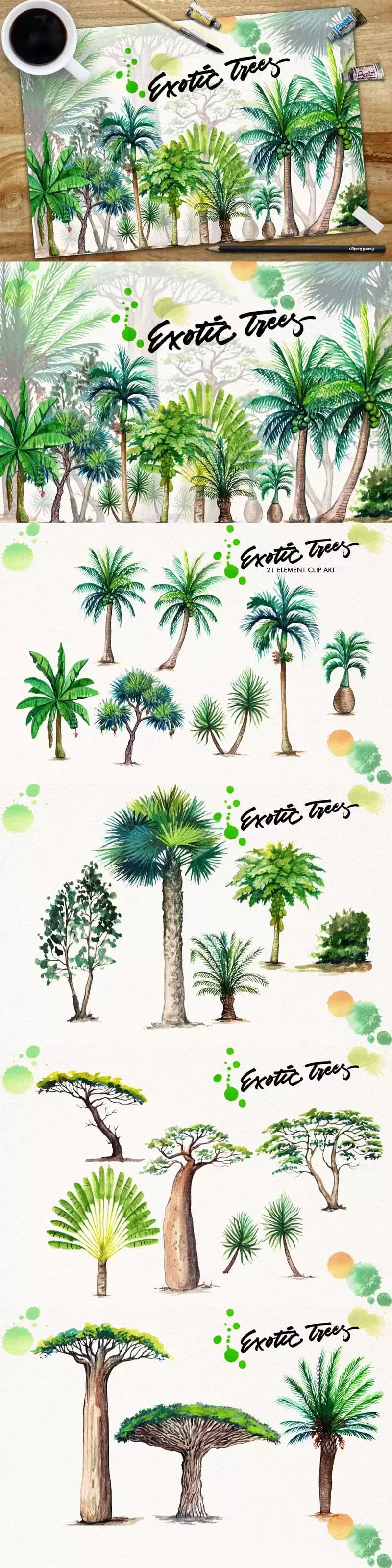 异国情调的水彩棕榈树和棕榈叶PNG免抠图插图1