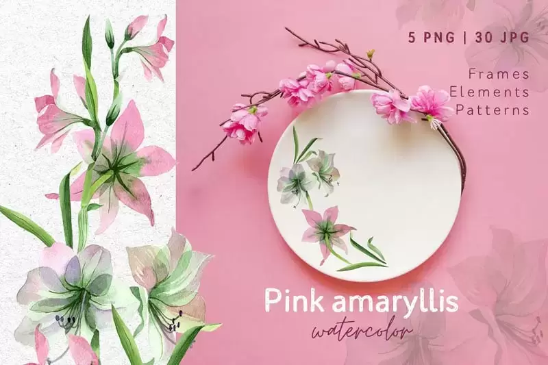 35个粉红色水彩花卉剪贴画PNG免抠图插图1