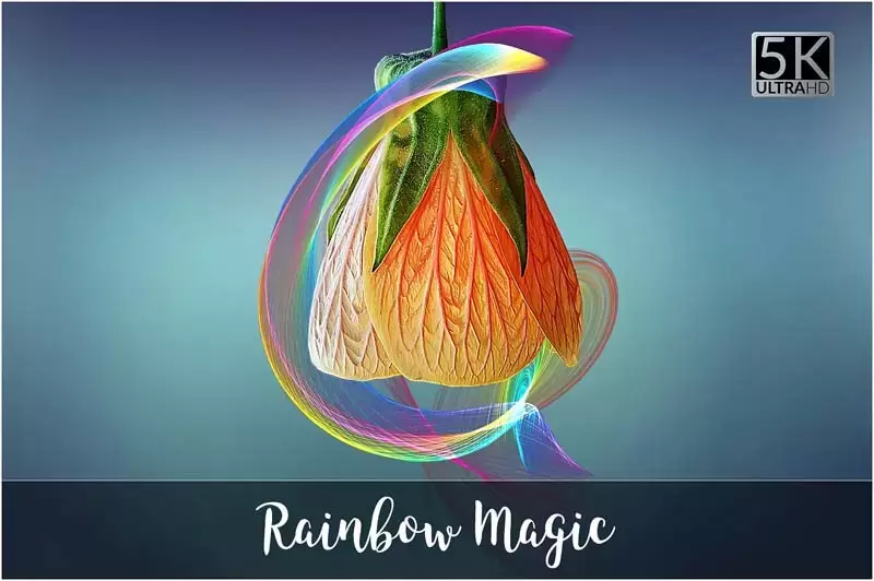 20个5K魔法彩虹抽象笔刷线条PNG免抠图插图1