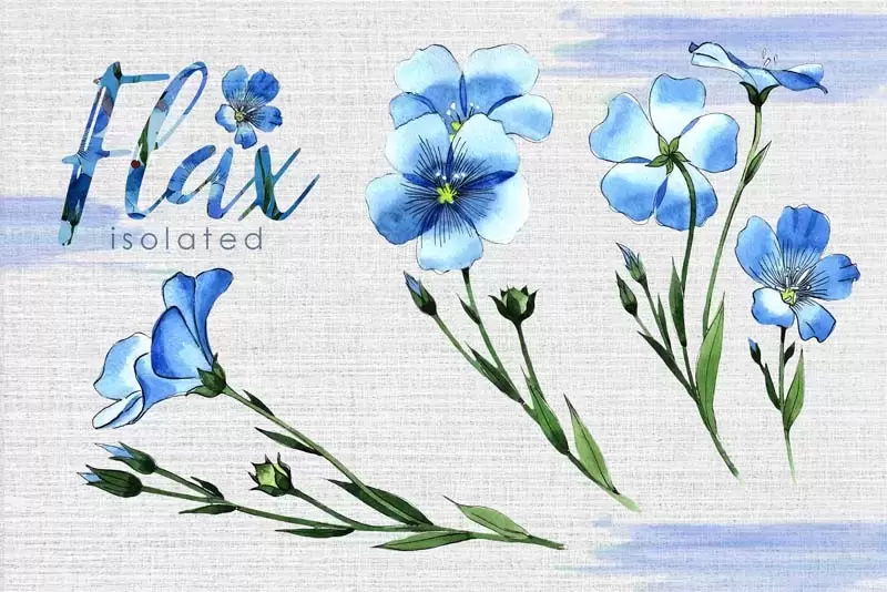 40个亚麻蓝色水彩花卉png剪贴画文件插图7