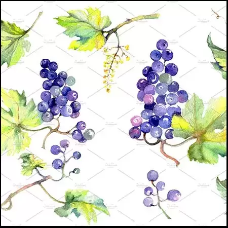 9个手绘葡萄葡萄叶葡萄树PNG免抠图插图