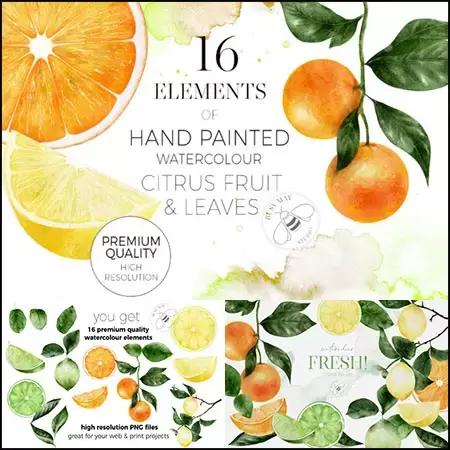 16 种手绘水彩柠檬橙子水果和叶子集合PNG免抠图插图