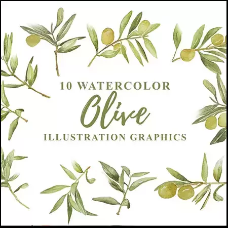 10款水彩橄榄图案PNG免抠图插图