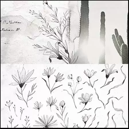 黑色和白色水彩花卉PNG免抠图插图